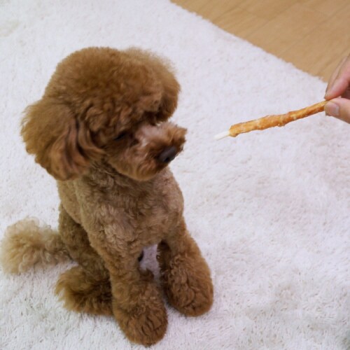 仕上名人 ササミロールデンタルガム