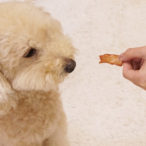 無添加良品 ふわふわ満足砂ぎも