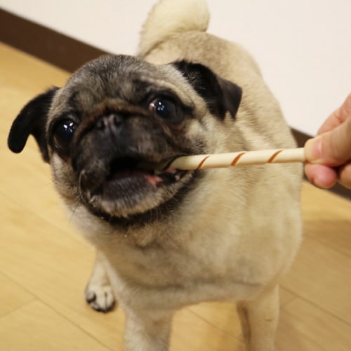 無添加良品 やさしいガム スティック