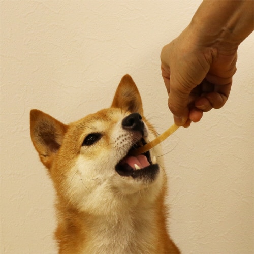 無添加良品 国産鶏 ささみ極細