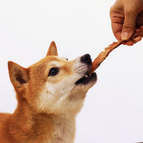 無添加良品 国産鶏 白むね肉スライス