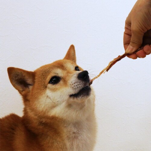 無添加良品 国産鶏 赤もも肉スライス