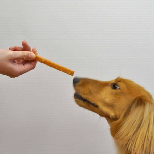 紗軟骨&白身魚入り