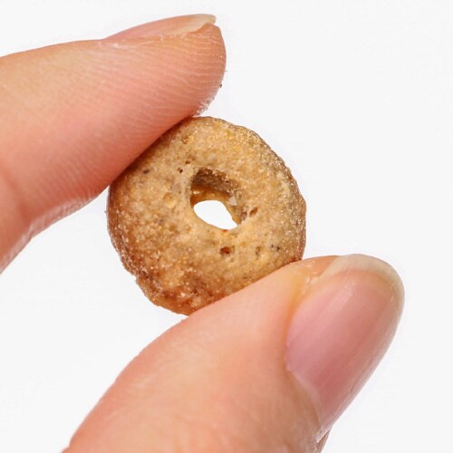 無添加良品 歯みがきおさかなクリスピー