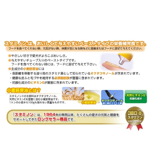 チョイスプラススタミノン スキンケア