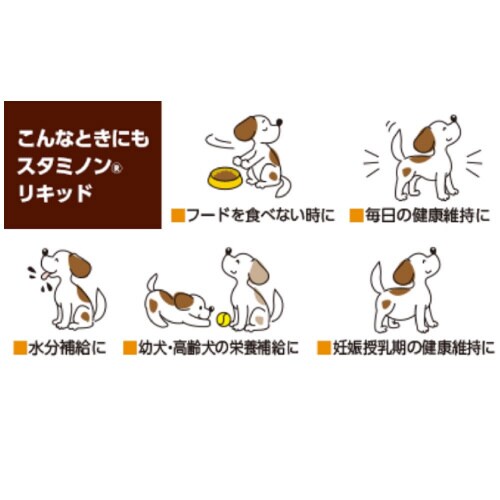 チョイスプラススタミノンリキッド