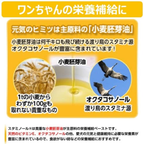 スタミノール食欲