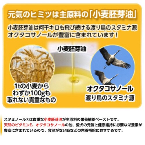 スタミノールV