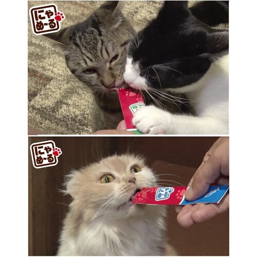 にゃめーる まぐろ