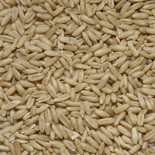 小動物のむきエン麦