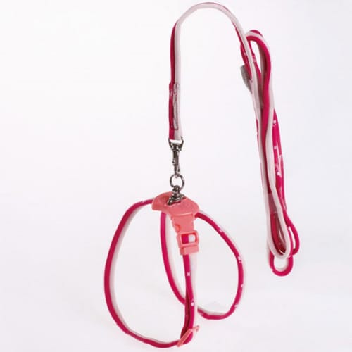 ウサギの8ハーネス&リード レッド