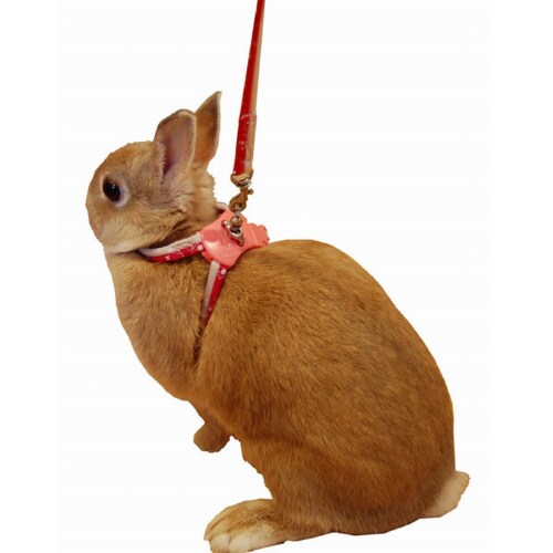 ウサギの8ハーネス&リード レッド
