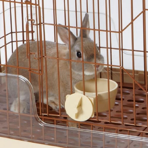 小動物の壁に掛ける食器