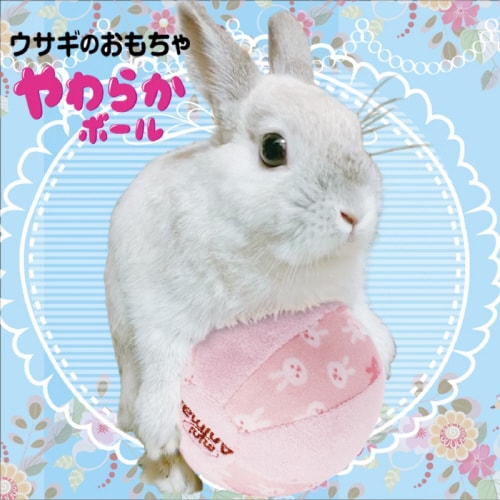 ウサギのおもちゃ やわらかボール
