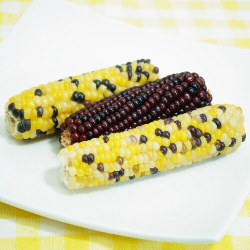 小動物のかじっておいしいミニコーン