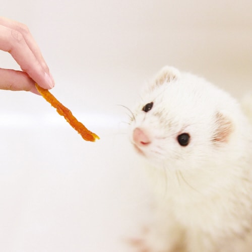 フェレットのおいしいササミ 細切りカット
