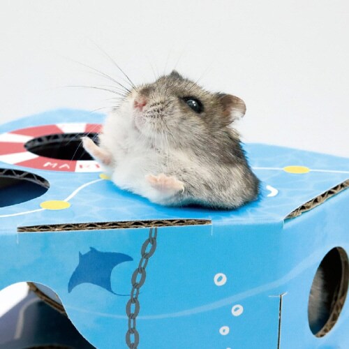 ハムちゃんのうみの箱