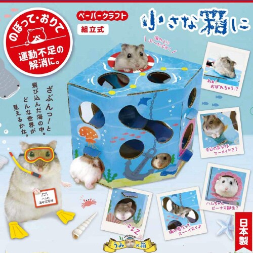 ハムちゃんのうみの箱