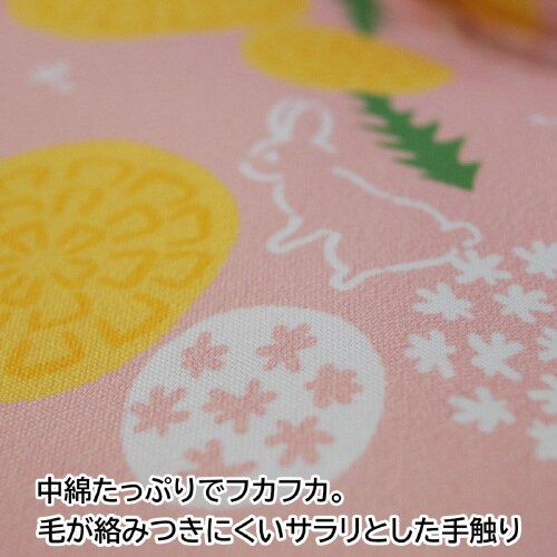 Bunny room ふわふわガーデン