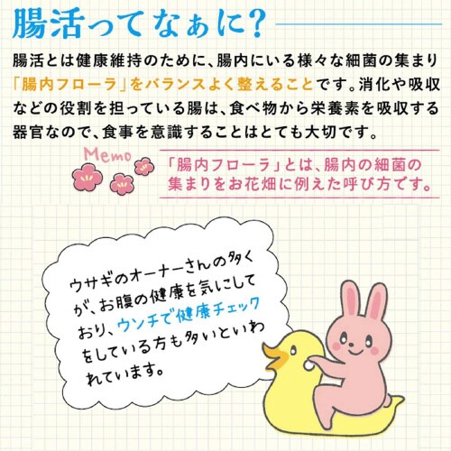 ラビットグルメ 腸活生活 メンテナンス