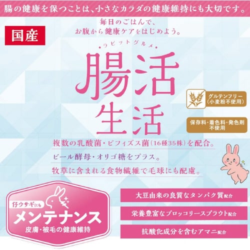 ラビットグルメ 腸活生活 メンテナンス