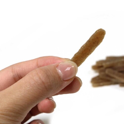 小動物のやみつきコオロギ プレーン