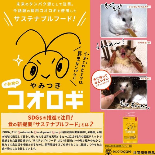小動物のやみつきコオロギ プレーン