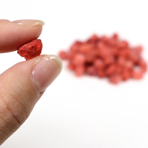 小動物のFDマルシェ いちご