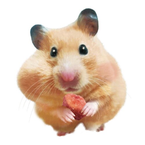 小動物のFDマルシェ いちご