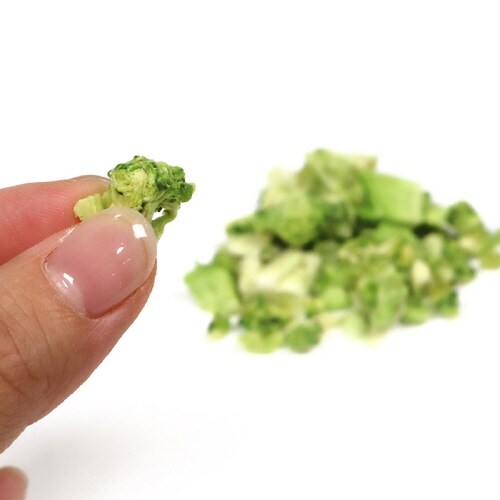 小動物のFDマルシェ ブロッコリー