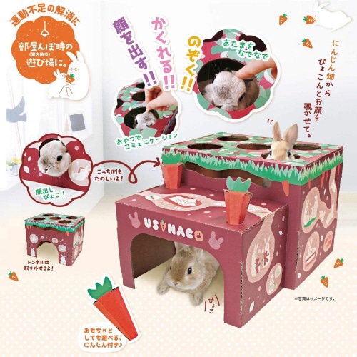 ウサハコ にんじん畑