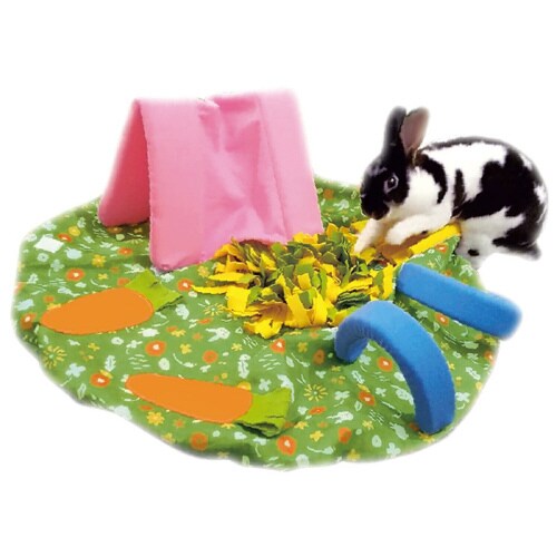 らびっとわくわくランド