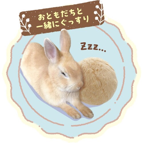 たち耳ちゃんのうさけつボール