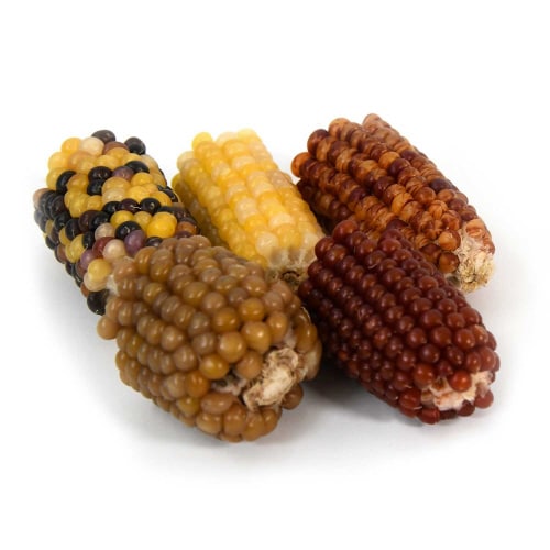 小動物のかじっておいしい カットコーン