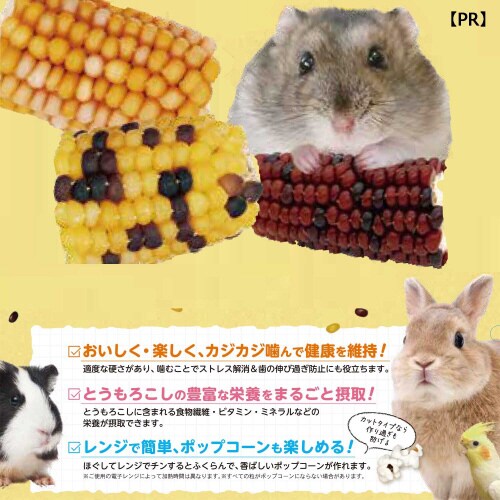 小動物のかじっておいしい カットコーン