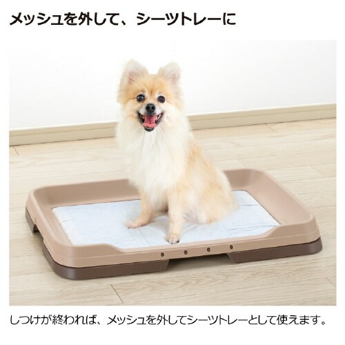 お掃除簡単ステップトレー