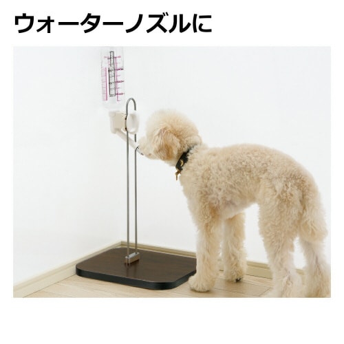 Nウォータースタンド