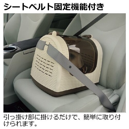 ラタンキャリー BR