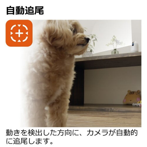 見守りカメラ LOOK