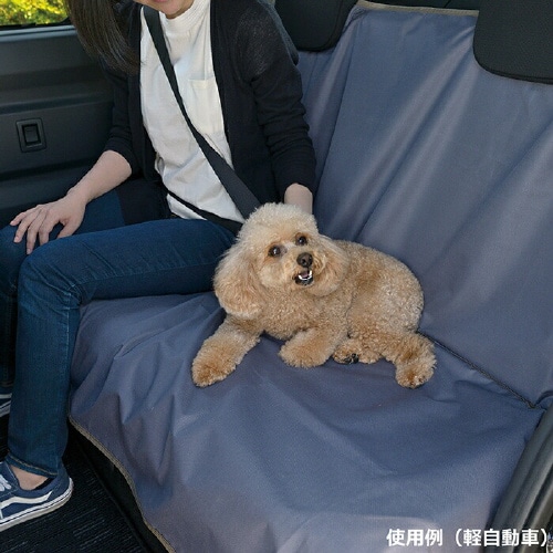 おでかけドライブシート BG