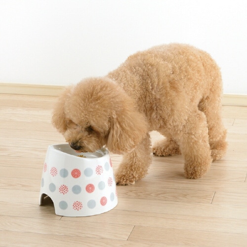 ワンちゃんの高さがある食器