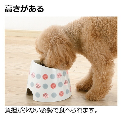 ワンちゃんの高さがある食器
