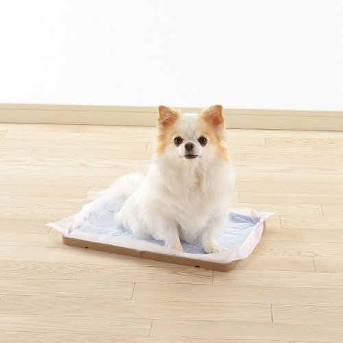 Nおでかけシーツトレー IV