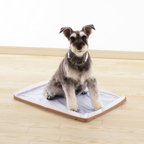 Nおでかけシーツトレー BR