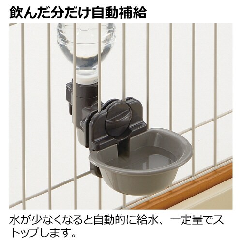 キャットウォーターディッシュ