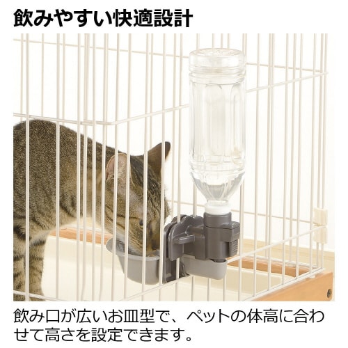 キャットウォーターディッシュ