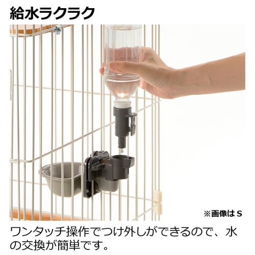 キャットウォーターディッシュ