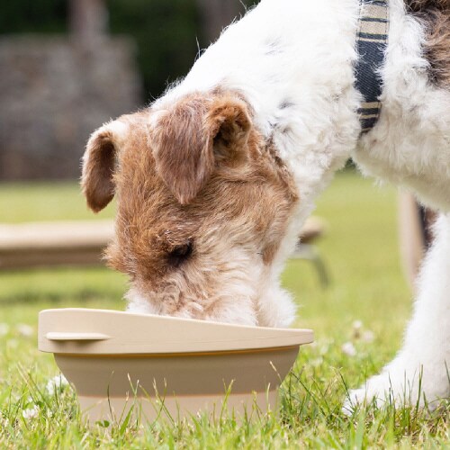 マークタス ポータブル ディッシュ
