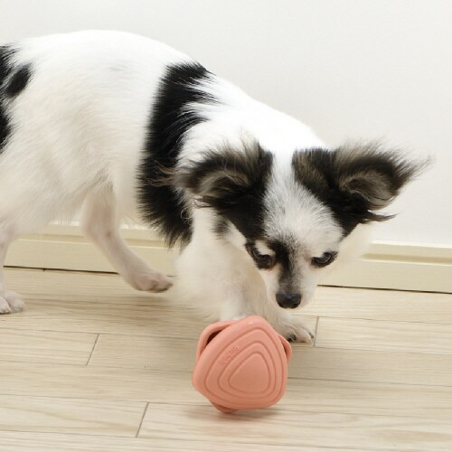 グルー ペック パピー用