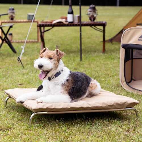 マークタス ポータブルベッド